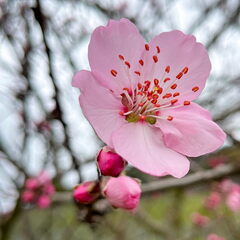 23-03-13 10-35-12 4822